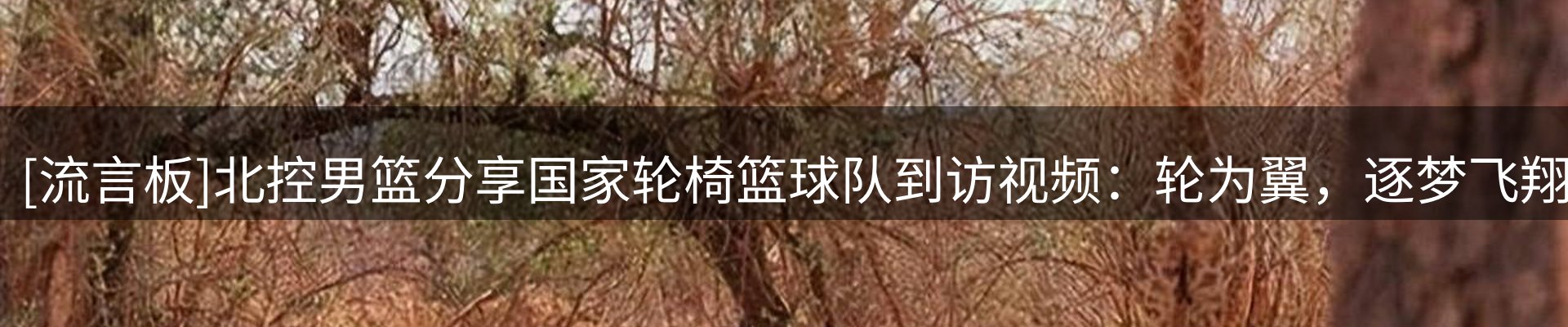 赛事资讯